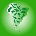 Free Wild Animals In South America Royalty Free Stock Photography - 4998447