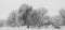 Free Fallen In The Fog Stock Photo - 4991570