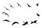 Free Blue Heron Isolated Stock Photos - 4995973