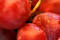 Free Grapes 1 Royalty Free Stock Photos - 56408