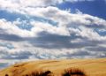 Free Jockey S Ridge State Park, N.C. Stock Photography - 500842