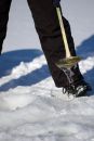 Free Dipping Out The Ice Stock Photo - 501440
