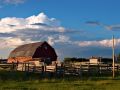 Free Late Day Farm Royalty Free Stock Photo - 502135