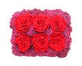 Free Six Roses Stock Photography - 5004112