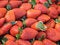 Free Garden Fresh Strawberries Stock Photo - 5004190