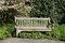 Free Bench In Spring Time Stock Image - 5006621