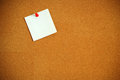 Free Cork Board 1 Royalty Free Stock Photo - 5010755