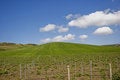 Free Nature Landscape Stock Photos - 5010933