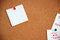 Free Cork Board 6 Stock Photography - 5011102