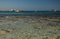 Free Coast Of Agia Napa Stock Photography - 5018032