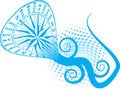 Free Compass Sea Creature Royalty Free Stock Photography - 5024377