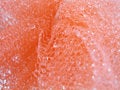 Free Pink Loofah Sponge Royalty Free Stock Photos - 5026708
