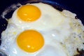 Free Frying Eggs1 Stock Photography - 5027222