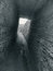 Free Stone Tunnel Royalty Free Stock Image - 5022896