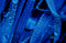 Free Blueness Of The Morning Dew Royalty Free Stock Photo - 5023655
