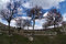 Free Tree Under Cloudly Sky Royalty Free Stock Photography - 5024237