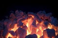 Free Live Coals Royalty Free Stock Images - 5030909