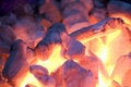 Free Live Coals Royalty Free Stock Images - 5030919