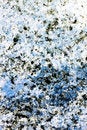 Free Marble Effect. Stock Photo - 5031730