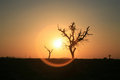 Free Wonderful Sunset Royalty Free Stock Photo - 5036735