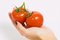 Free Diet Royalty Free Stock Image - 5033276