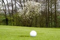 Free Golfing Royalty Free Stock Image - 5042676