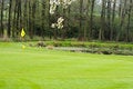 Free Golfing Royalty Free Stock Photography - 5042747