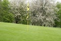 Free Golfing Stock Photo - 5042920