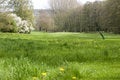 Free Golfing Stock Image - 5042991