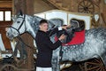 Free Young Rider Tightens A Saddle-girth Stock Photo - 5043770