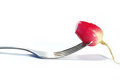 Free Fork And Radish Isolated Stock Photos - 5044613