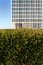 Free Downtown Skyscraper Stock Photos - 5040483