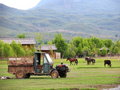 Free Rural Life Stock Photography - 5057052