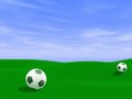 Free Balls On Lawn Stock Photo - 5058160