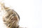 Free Sunny Hair Royalty Free Stock Image - 5057616