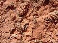 Free Old Wall With Plaster Royalty Free Stock Photo - 5061245