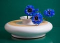 Free Shallow Ceramic Vase With Blue Flowers On Green Royalty Free Stock Image - 5063196