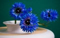 Free Fragment Of Shallow Ceramic Vase With Blue Flowers Stock Image - 5063201