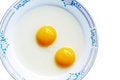 Free Double-yolk Egg Stock Image - 5069541
