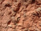 Free Old Wall With Plaster Royalty Free Stock Photo - 5061245