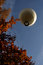 Free Looking Up At A White Hot Air Balloon In The Air Royalty Free Stock Photo - 5063895