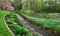 Free The Daffodil Blooming In Spring Stock Photo - 5072290