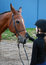 Free Young Lady And Her Horse Stock Images - 5074804