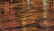 Free Rails Royalty Free Stock Photography - 5085327