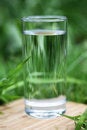 Free Mineral Water Royalty Free Stock Photo - 5096225