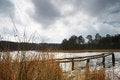 Free Lake In Forest Royalty Free Stock Photography - 5098397