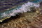 Free Clear Water, Wave Foam, Splashes, Beach. Stock Image - 5090871
