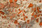 Free Decaying Wall Made Of Concrete And Brick Stock Photo - 5096210