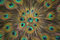 Free Peacock Supernova Royalty Free Stock Images - 5097899