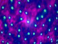 Free Computer Generated Abstract 17 Royalty Free Stock Photo - 511195